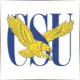 Coppin State University - Geography School Ranking