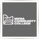 Mesa Community College - Geography School Ranking