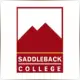 Saddleback College - Geography School Ranking