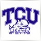Texas Christian University - Geography School Ranking