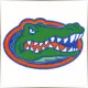 University of Florida - Geography School Ranking
