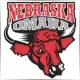 University of Nebraska at Omaha - Geography School Ranking