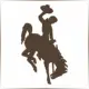 University of Wyoming - Geography School Ranking