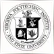 Virginia Polytechnic Institute and State University - Geography School Ranking